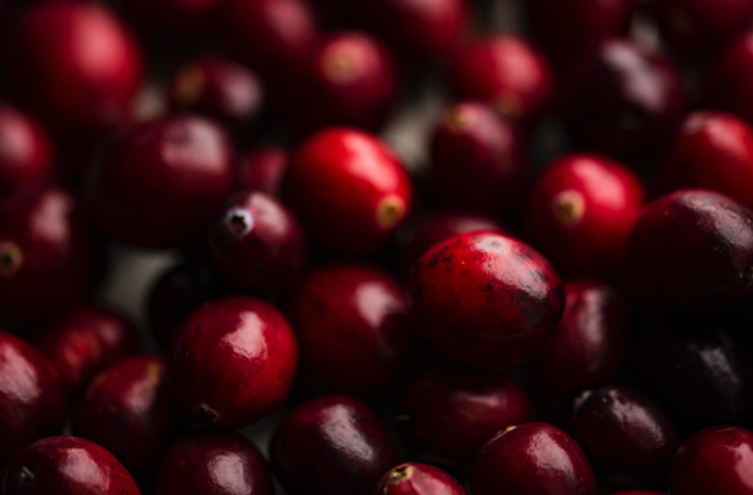 Cranberry Extract 4:1