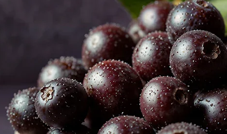 Acai Extract 4:1