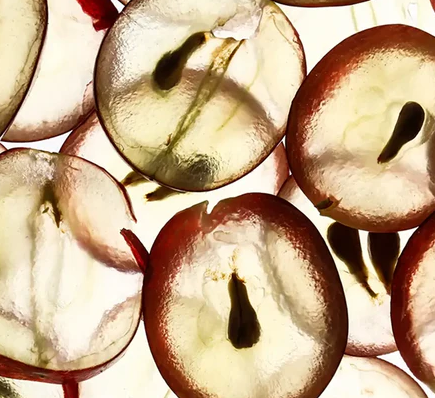 Grape Seed Extract 95%