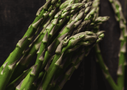 Fructooligosaccharides