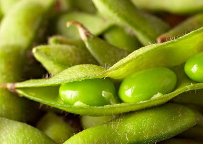 Soybean Isoflavones