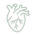 Cardiac Tissue Support