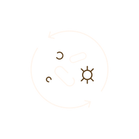 Icon 3